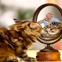 ���� ����, ��������, 65 ��� - ��������� 23 ��� 2018 � ������ ���� ����������