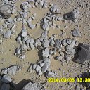 ���� Osama, �������, 61 ��� - ��������� 22 ��� 2018 � ������ ������ ��������