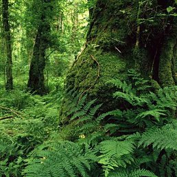 ���� Austin, ����, 40 ��� - ��������� 7 ������ 2018