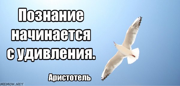 ���� �������� - 20 ������ 2018 � 12:52