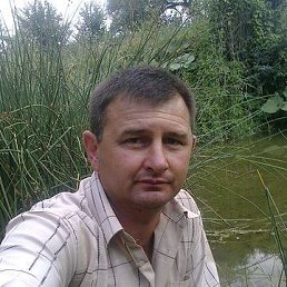 �������, �����������, 54 ����