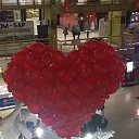 ���� ����, �������, 38 ��� - ��������� 15 ������� 2018 � ������ ���� ����������