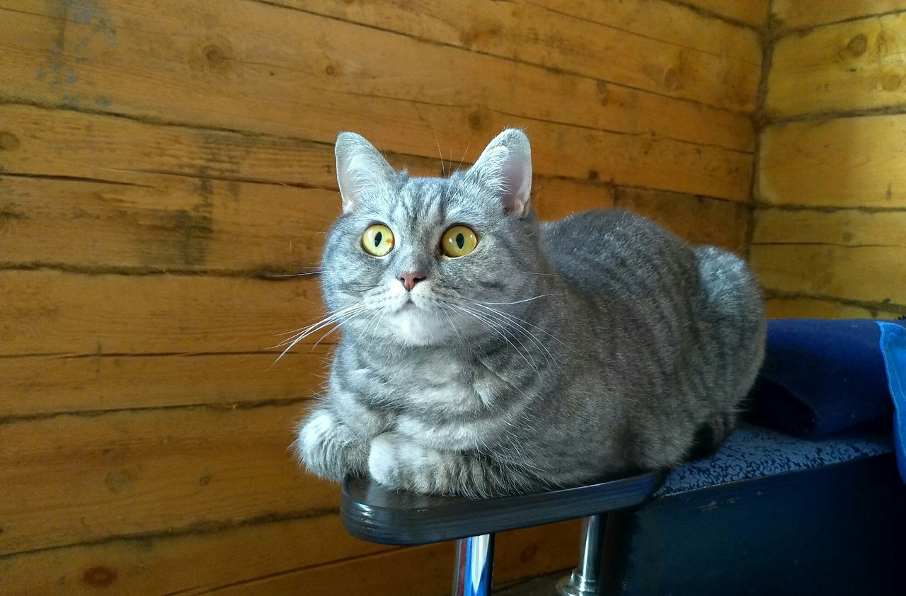 #_.       .     4 .   ...