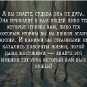 ���� ������, ������ �������� - ��������� 8 ������ 2018 � ������ ������ ��������