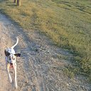 ���� �������, ��������, 46 ��� - ��������� 29 ������ 2018 � ������ ���� �������