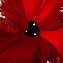 ���� �����, ����������, 54 ���� - ��������� 13 ����� 2018 � ������ ������ ��������