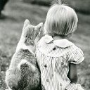 ���� �����, �����, 62 ���� - ��������� 8 ����� 2018 � ������ ������ ��������