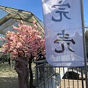 ���� ������, ������ - ��������� 31 ����� 2018 � ������ ���� ����������