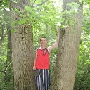 ���� ������ �����������, ����, 62 ���� - ��������� 30 ������ 2017 � ������ ���� ����������