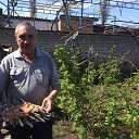 ���� ��������, ������, 72 ���� - ��������� 9 ������ 2018 � ������ ���� ����������