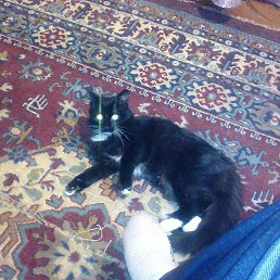 ���� ������, ���������, 42 ���� - ��������� 15 ������� 2017