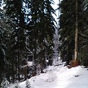 ���� �����, ��������� - ��������� 17 ����� 2018 � ������ ������� 2018�