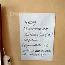 ���� Nightjar, ���������, 38 ��� - ��������� 22 ����� 2018 � ������ ������ ��������