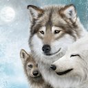 ���� ������, ������, 43 ���� - ��������� 17 ������� 2017 � ������ ���� ����������