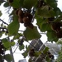 ���� �����, �����-���������, 56 ��� - ��������� 6 ���� 2018 � ������ ���� ����������