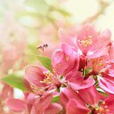 ���� ������, �����-���������, 55 ��� - ��������� 19 ������ 2018 � ������ ���� ����������