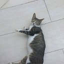  , -, 42  -  30  2018   , 2018 ()