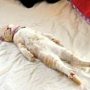 ���� �����, ���������, 54 ���� - ��������� 14 ������� 2017 � ������ ���� ����������