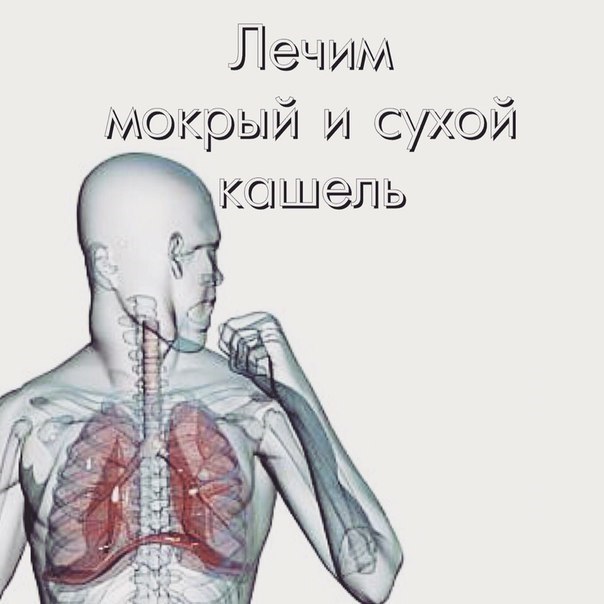 Кашель – рефлекс, направленный на устранение из дыхательных путей пыли, инородных тел и слизи. Это ...