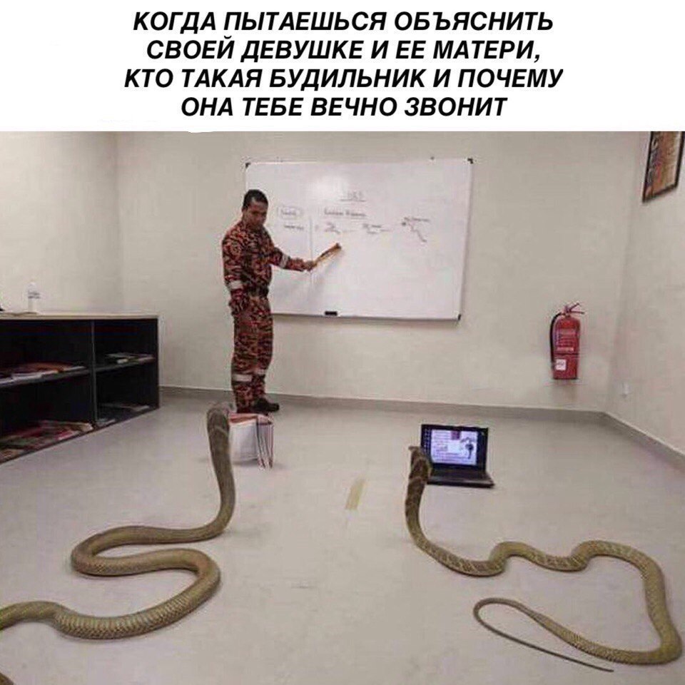   - 25  2018  02:48