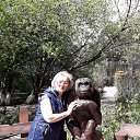 ���� ������, �������, 66 ��� - ��������� 3 ���� 2018 � ������ ���������� ������