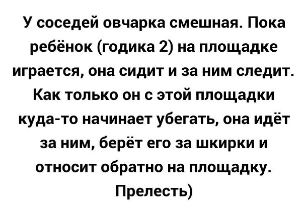   - 13  2018  03:38