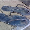 ���� �����, ������� - ��������� 30 ������� 2017 � ������ ������ ��������