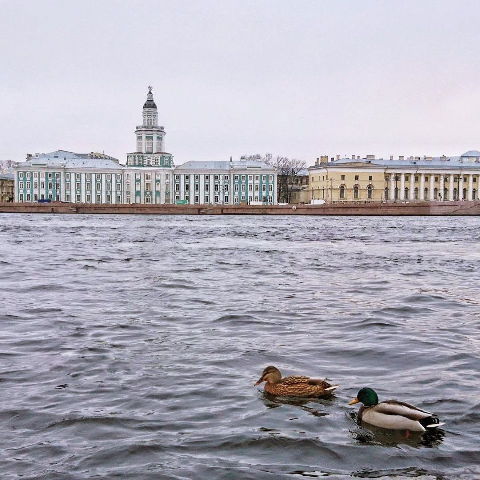 :    - 29  2017  03:46