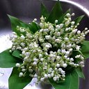 ���� ���� ���������, ������, 44 ���� - ��������� 1 ��� 2018 � ������ ���� ����������