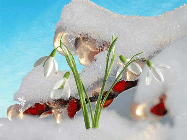 А зима серебристом колечком, ручейком,да скорей наутек, догорает она,словно свечка, что поделать ...