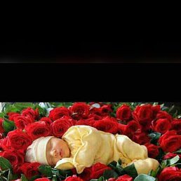 Jyfoiugf, ������, 86 ���