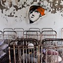 ���� ����, ���������, 43 ���� - ��������� 28 ���� 2018 � ������ ������ ��������