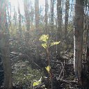 ����� �� ������� ���� ����������