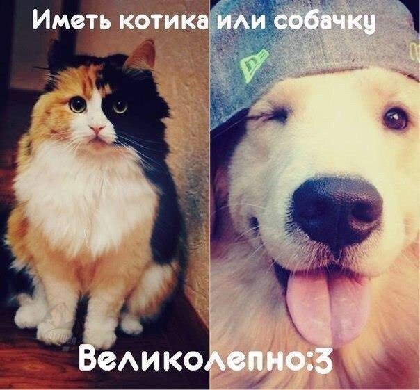�������� �������� - 20 ������ 2018 � 21:26