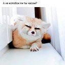 ���� ����, ��������� - ��������� 13 ������ 2018 � ������ ������ ��������