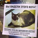 ���� ����, �������, 34 ���� - ��������� 3 ������� 2017 � ������ ������ ��������