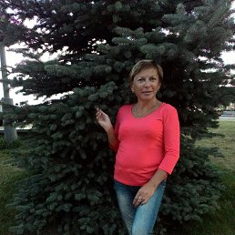 ������, �������-���������, 49 ���