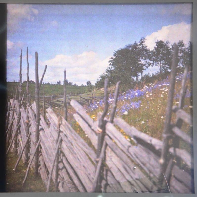     , 1900-1910- . #@book - 5