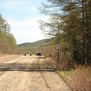 ���� ���, ���, 51 ��� - ��������� 19 ������� 2018 � ������ ��������