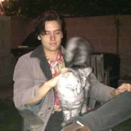 ���� Cole, ���-�������� - ��������� 17 ���� 2018
