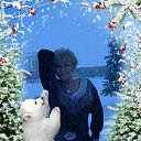 ���� �����, ���� - ��������� 31 ������� 2017 � ������ ���� ����������