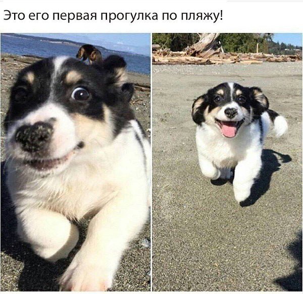   - 5  2018  03:03
