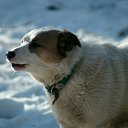 ���� ������, ������, 49 ��� - ��������� 11 ������� 2018 � ������ �������� SONY 75-300 + �����