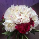 ���� ����, ���������� - ��������� 21 ���� 2018 � ������ ���� ����������