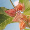 ���� �����, �����-��������� - ��������� 1 ����� 2018 � ������ ���� ����������