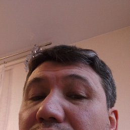 ���, ������, 49 ���