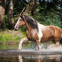 ���� �������, ������ - ��������� 7 ���� 2018 � ������ ��������