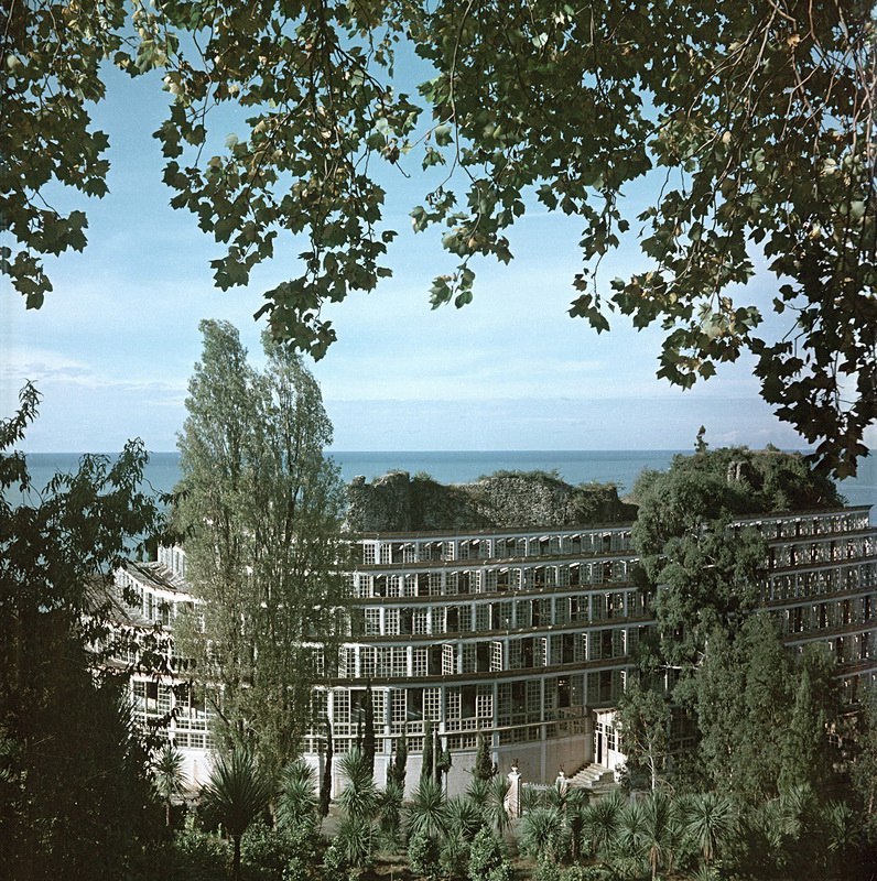     1950-    - 10