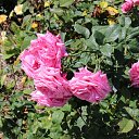 ���� �����, ��������, 48 ��� - ��������� 29 ������ 2018 � ������ ���� ����