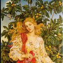 �����. ������ �� ������ �� ������� �FLORA�
